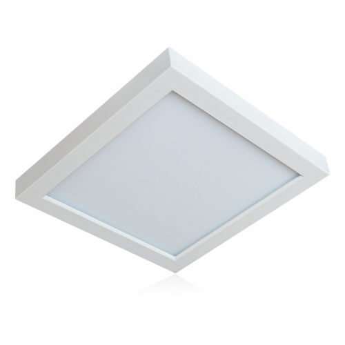 LED Ceiling Light