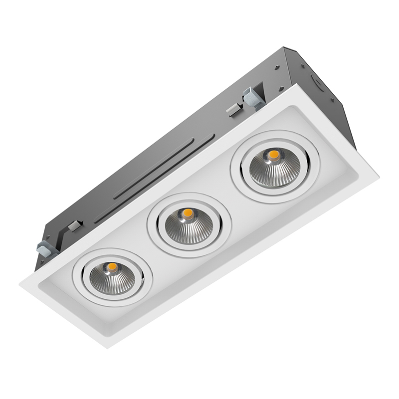MULTIPLES DOWNLIGHT WITH HOUSING