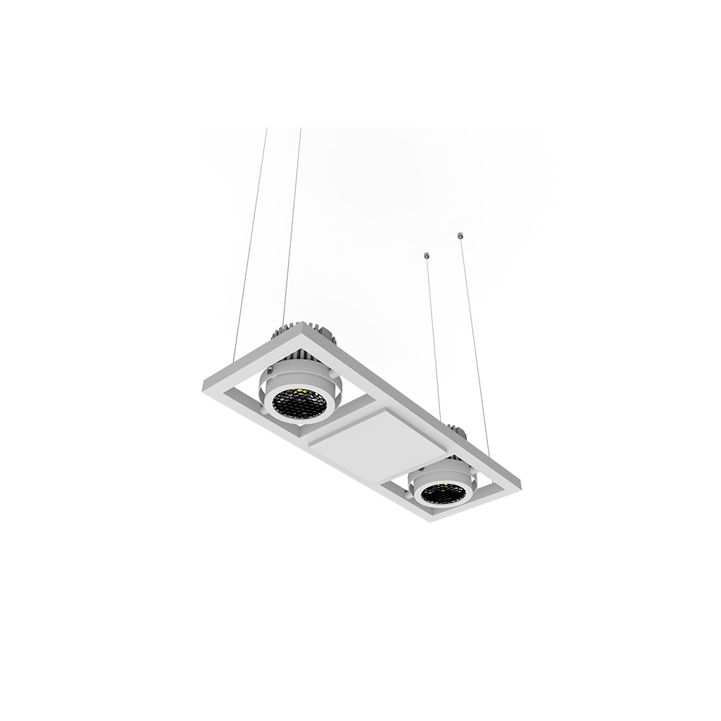 Morph Series-Pendant lamp(Double-downlight pandant light)